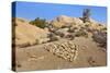 Arrow Through Heart, Joshua Tree NP, California, USA-Jaynes Gallery-Stretched Canvas