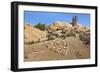 Arrow Through Heart, Joshua Tree NP, California, USA-Jaynes Gallery-Framed Photographic Print