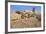 Arrow Through Heart, Joshua Tree NP, California, USA-Jaynes Gallery-Framed Photographic Print