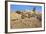 Arrow Through Heart, Joshua Tree NP, California, USA-Jaynes Gallery-Framed Photographic Print