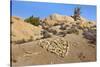 Arrow Through Heart, Joshua Tree NP, California, USA-Jaynes Gallery-Stretched Canvas