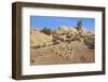 Arrow Through Heart, Joshua Tree NP, California, USA-Jaynes Gallery-Framed Photographic Print