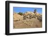 Arrow Through Heart, Joshua Tree NP, California, USA-Jaynes Gallery-Framed Photographic Print