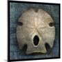 Arrowhead Sand Dollar-John W Golden-Mounted Giclee Print