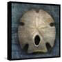 Arrowhead Sand Dollar-John W Golden-Stretched Canvas