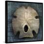 Arrowhead Sand Dollar-John W Golden-Stretched Canvas