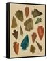 Arrowheads-Cat Coquillette-Framed Stretched Canvas