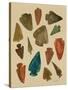 Arrowheads-Cat Coquillette-Stretched Canvas