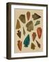 Arrowheads-Cat Coquillette-Framed Giclee Print