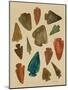 Arrowheads-Cat Coquillette-Mounted Giclee Print