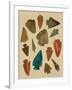 Arrowheads-Cat Coquillette-Framed Giclee Print