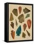Arrowheads-Cat Coquillette-Framed Stretched Canvas