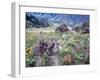 Arrowleaf Balsamroot and Indian Paintbrush, Imnaha River Canyon Rim, Oregon, USA-William Sutton-Framed Photographic Print