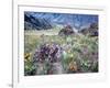 Arrowleaf Balsamroot and Indian Paintbrush, Imnaha River Canyon Rim, Oregon, USA-William Sutton-Framed Photographic Print