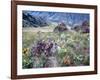 Arrowleaf Balsamroot and Indian Paintbrush, Imnaha River Canyon Rim, Oregon, USA-William Sutton-Framed Photographic Print