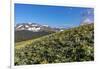 Arrowleaf balsamroot wildflowers along the Rocky Mountain Front near East Glacier, Montana, USA-Chuck Haney-Framed Photographic Print