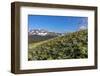 Arrowleaf balsamroot wildflowers along the Rocky Mountain Front near East Glacier, Montana, USA-Chuck Haney-Framed Photographic Print