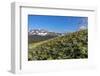 Arrowleaf balsamroot wildflowers along the Rocky Mountain Front near East Glacier, Montana, USA-Chuck Haney-Framed Photographic Print