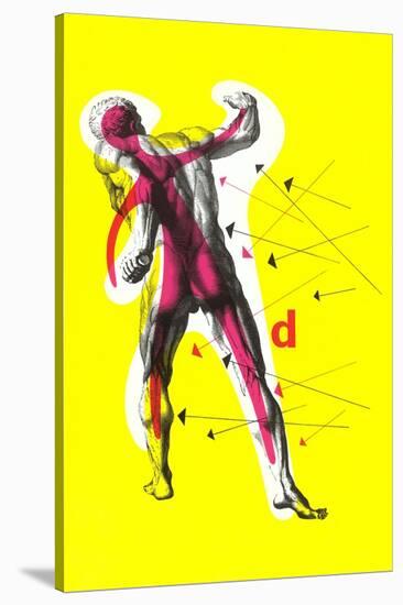 Arrows Pointing to Muscles-null-Stretched Canvas