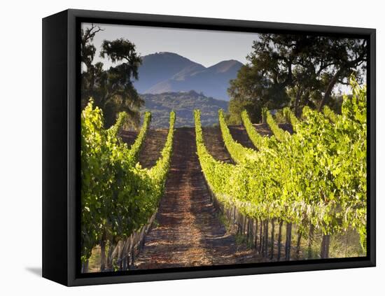 Arroye Grande, California: a Central Coast Winery-Ian Shive-Framed Stretched Canvas