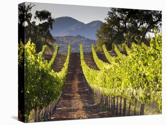 Arroye Grande, California: a Central Coast Winery-Ian Shive-Stretched Canvas