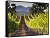 Arroye Grande, California: a Central Coast Winery-Ian Shive-Framed Stretched Canvas