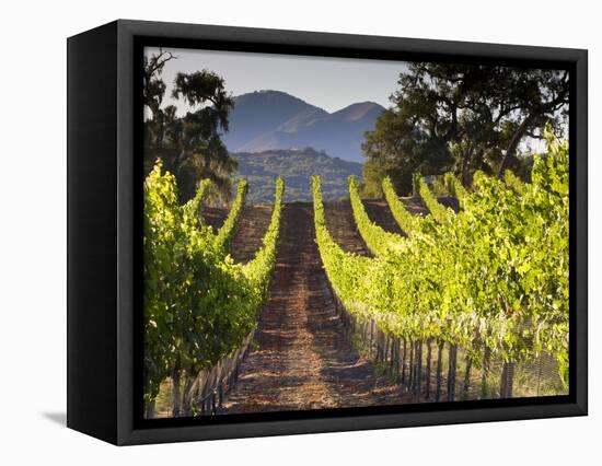 Arroye Grande, California: a Central Coast Winery-Ian Shive-Framed Stretched Canvas