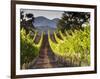 Arroye Grande, California: a Central Coast Winery-Ian Shive-Framed Photographic Print