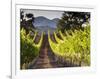 Arroye Grande, California: a Central Coast Winery-Ian Shive-Framed Photographic Print