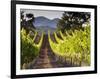 Arroye Grande, California: a Central Coast Winery-Ian Shive-Framed Photographic Print