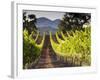 Arroye Grande, California: a Central Coast Winery-Ian Shive-Framed Photographic Print