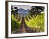 Arroye Grande, California: a Central Coast Winery-Ian Shive-Framed Photographic Print