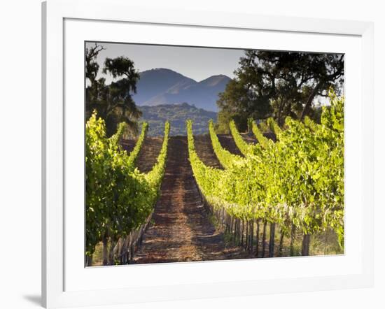 Arroye Grande, California: a Central Coast Winery-Ian Shive-Framed Photographic Print