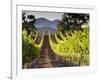 Arroye Grande, California: a Central Coast Winery-Ian Shive-Framed Photographic Print