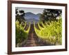 Arroye Grande, California: a Central Coast Winery-Ian Shive-Framed Photographic Print