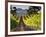 Arroye Grande, California: a Central Coast Winery-Ian Shive-Framed Photographic Print