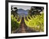 Arroye Grande, California: a Central Coast Winery-Ian Shive-Framed Photographic Print