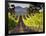 Arroye Grande, California: a Central Coast Winery-Ian Shive-Framed Photographic Print