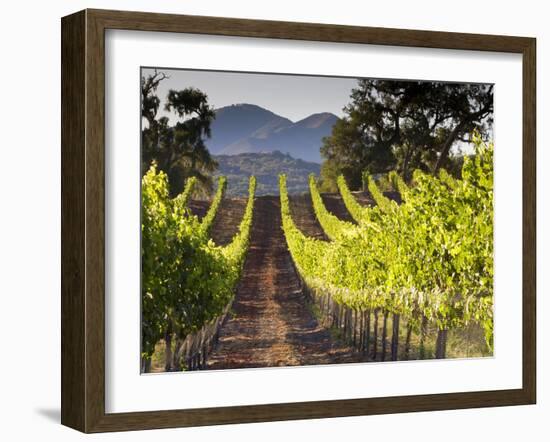 Arroye Grande, California: a Central Coast Winery-Ian Shive-Framed Photographic Print