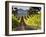 Arroye Grande, California: a Central Coast Winery-Ian Shive-Framed Photographic Print