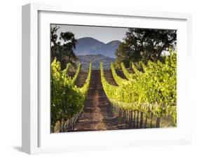 Arroye Grande, California: a Central Coast Winery-Ian Shive-Framed Photographic Print