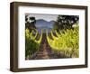 Arroye Grande, California: a Central Coast Winery-Ian Shive-Framed Photographic Print