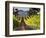 Arroye Grande, California: a Central Coast Winery-Ian Shive-Framed Photographic Print