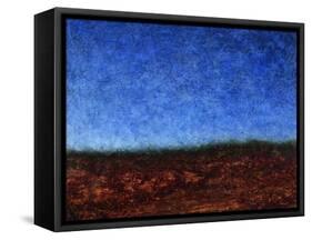 Arroyo Rojo-James W Johnson-Framed Stretched Canvas