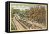 Arroyo-Seco Parkway, Pasadena, California-null-Framed Stretched Canvas