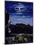 Arsenal Hill at Night-Niko Pirosmani-Mounted Giclee Print