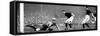 Arsenal Vs. Stoke, Highbury, 1928-null-Framed Stretched Canvas