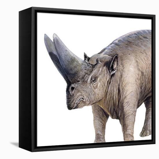 Arsinoitherium-null-Framed Stretched Canvas