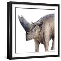 Arsinoitherium-null-Framed Photographic Print