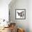 Arsinoitherium-null-Framed Photographic Print displayed on a wall